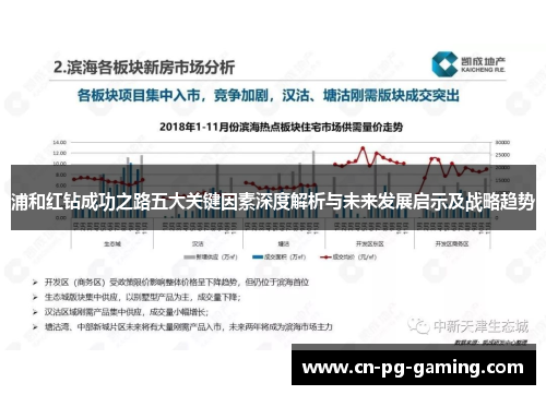 浦和红钻成功之路五大关键因素深度解析与未来发展启示及战略趋势 浦和红钻成功之路五大关键因素深度解析与未来发展启示及战略趋势